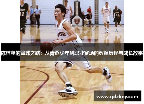 陈林坚的篮球之路：从青涩少年到职业赛场的辉煌历程与成长故事