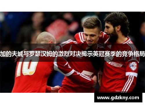 加的夫城与罗瑟汉姆的激烈对决揭示英冠赛季的竞争格局