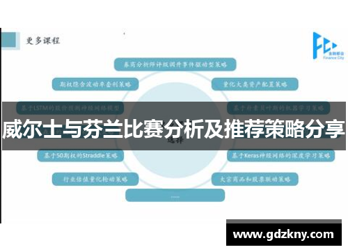 威尔士与芬兰比赛分析及推荐策略分享