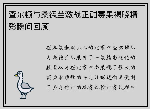 查尔顿与桑德兰激战正酣赛果揭晓精彩瞬间回顾